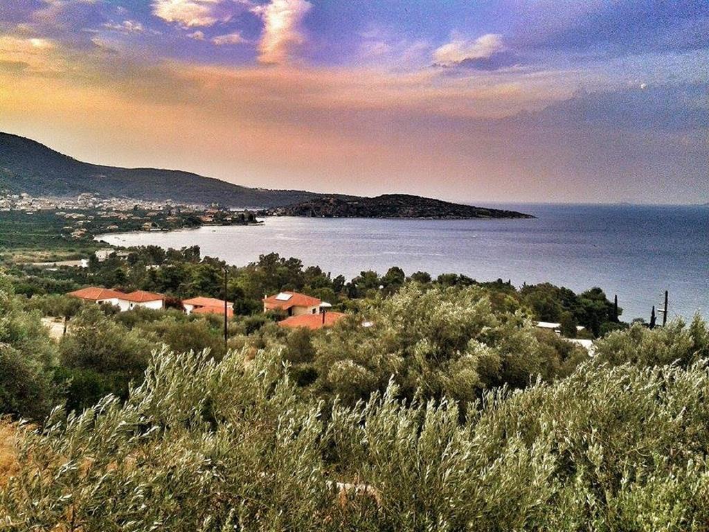 דירות Epidaurus Athina Ecofarm מראה חיצוני תמונה
