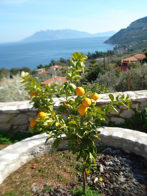 דירות Epidaurus Athina Ecofarm מראה חיצוני תמונה
